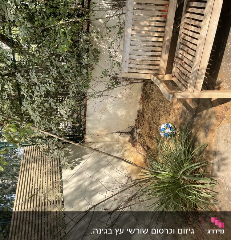 ספסל עץ ליד שיחים ועצים בגינה